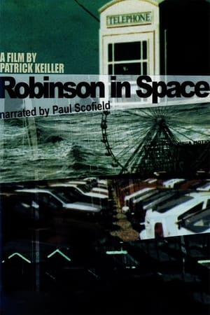 Image Robinson in Space