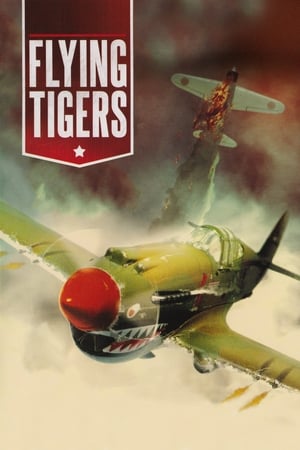 Image Flying Tigers