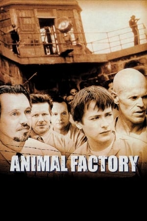 Image Animal Factory