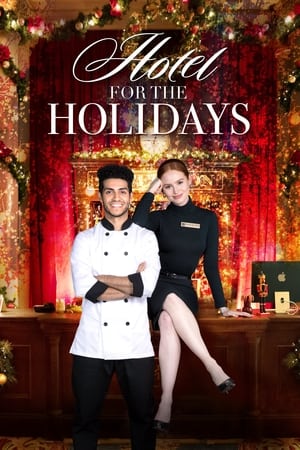 Image Hotel for the Holidays