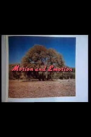 Image Motion and Emotion: The Road to Paris, Texas