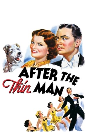 Image After the Thin Man