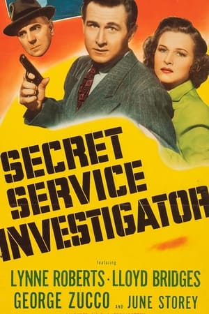 Image Secret Service Investigator