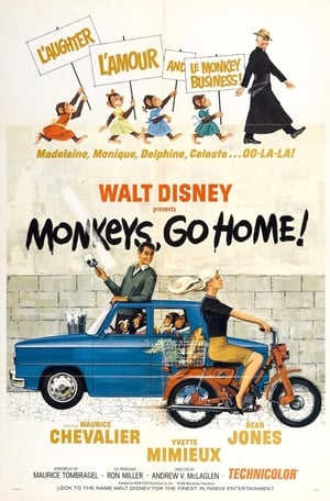 Image Monkeys, Go Home!