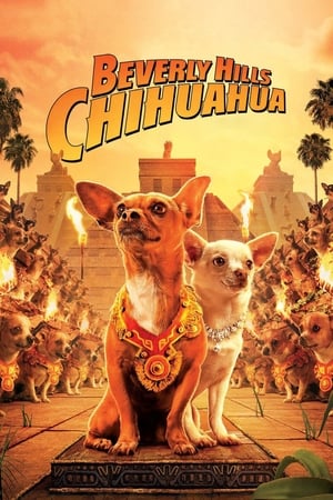 Image Beverly Hills Chihuahua