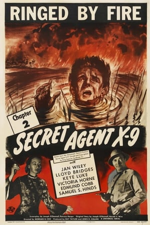 Image Secret Agent X-9