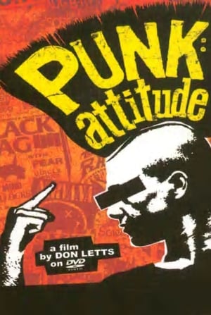 Image Punk: Attitude