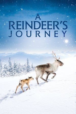 Image A Reindeer's Journey