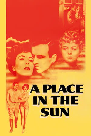 Image A Place in the Sun