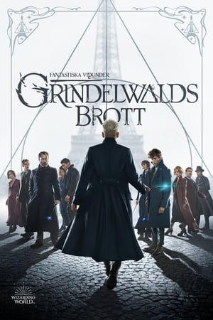 Image Fantastiska vidunder: Grindelwalds brott