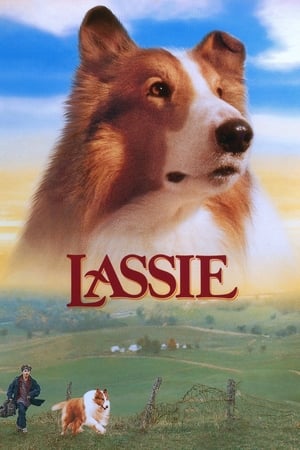 Image Lassie - Bästa vänner för alltid