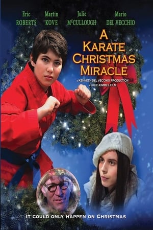 Image A Karate Christmas Miracle