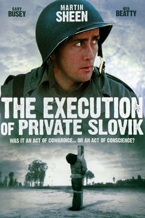 Image The Execution of Private Slovik