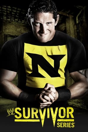 Image WWE Survivor Series 2010