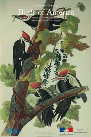 Image Birds of America