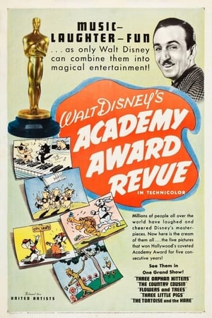 Image Academy Award Review of Walt Disney Cartoons