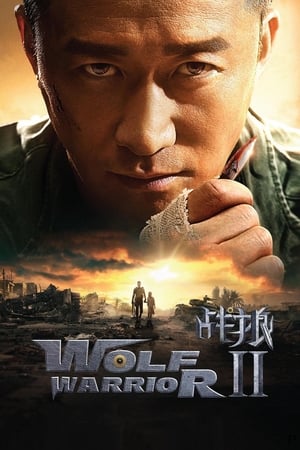 Image Wolf Warrior 2