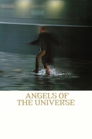 Image Angels of the Universe