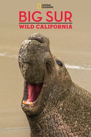 Image Big Sur-Wild California