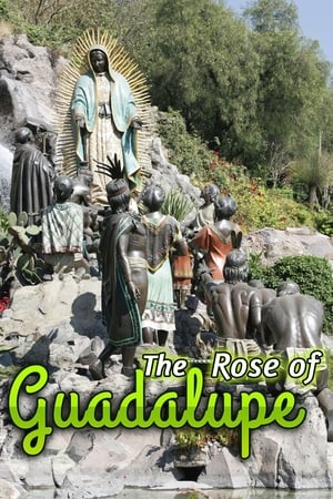 Image La rosa de Guadalupe