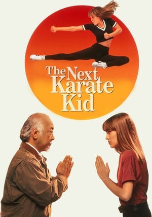 Image Karate Kid: Mästarens nya elev