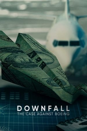 Image Downfall: The Case Against Boeing