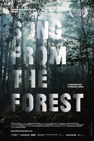 Image Song from the Forest