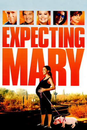 Image Expecting Mary