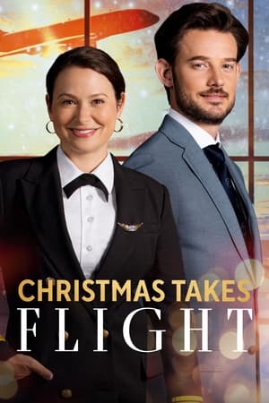 Image Christmas Takes Flight