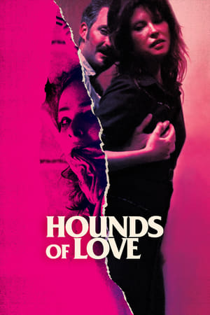 Image Hounds of Love