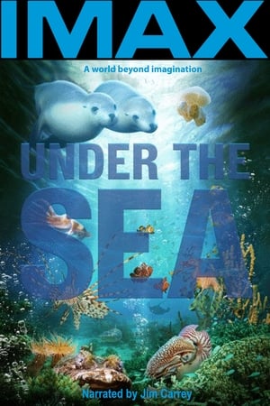 Image Under the Sea 3D