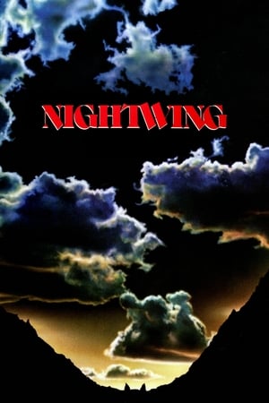 Image Nightwing