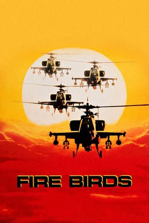 Image Fire Birds