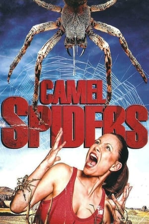 Image Camel Spiders