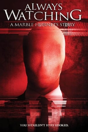 Image Always Watching: A Marble Hornets Story