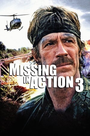 Image Braddock: Missing in Action III