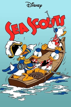 Image Sea Scouts