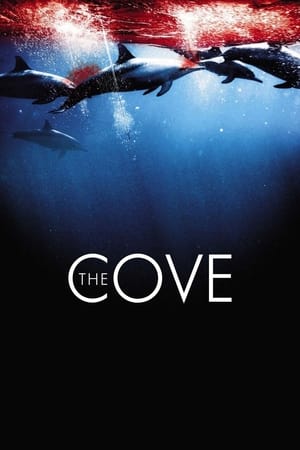 Image The Cove