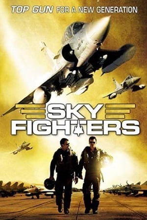Image Sky Fighters