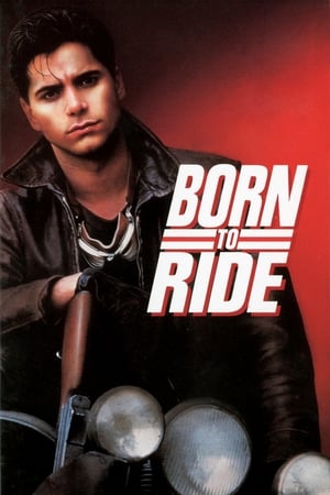 Image Born to Ride
