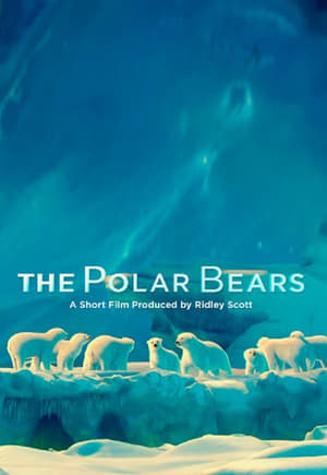 Image The Polar Bears
