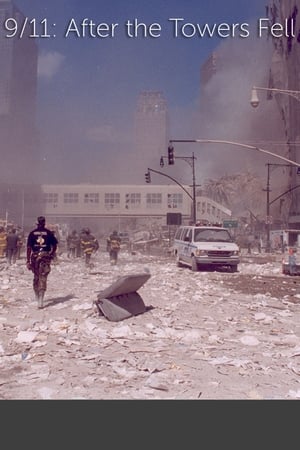 Image 9/11: After the Towers Fell
