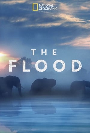 Image The Flood
