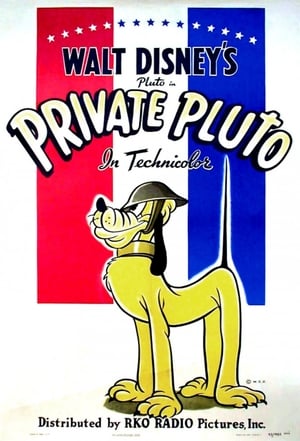 Image Private Pluto