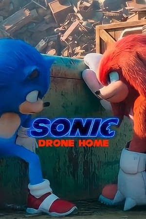 Image Sonic Drone Home