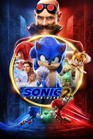 Image Sonic, a sündisznó 2.