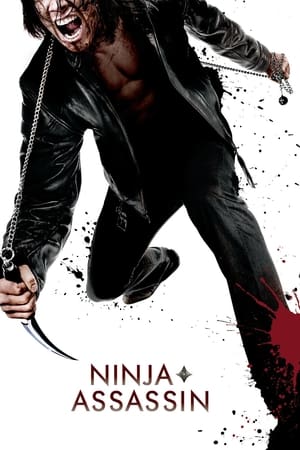 Image Ninja Assassin