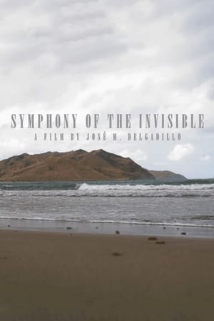 Image Symphony Of The Invisible