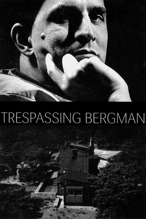 Image Trespassing Bergman
