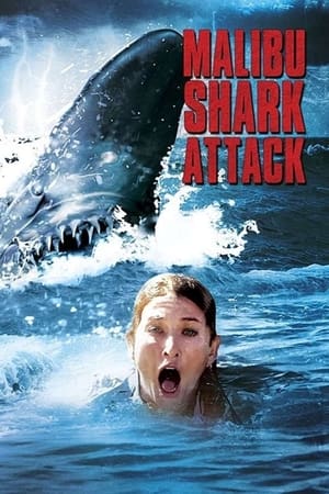 Image Malibu Shark Attack